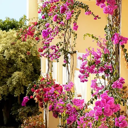 R2 Buganvilla & Morro Jable