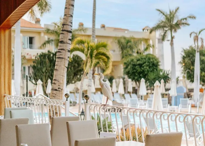 호텔 R2 Buganvilla & 모로델제블